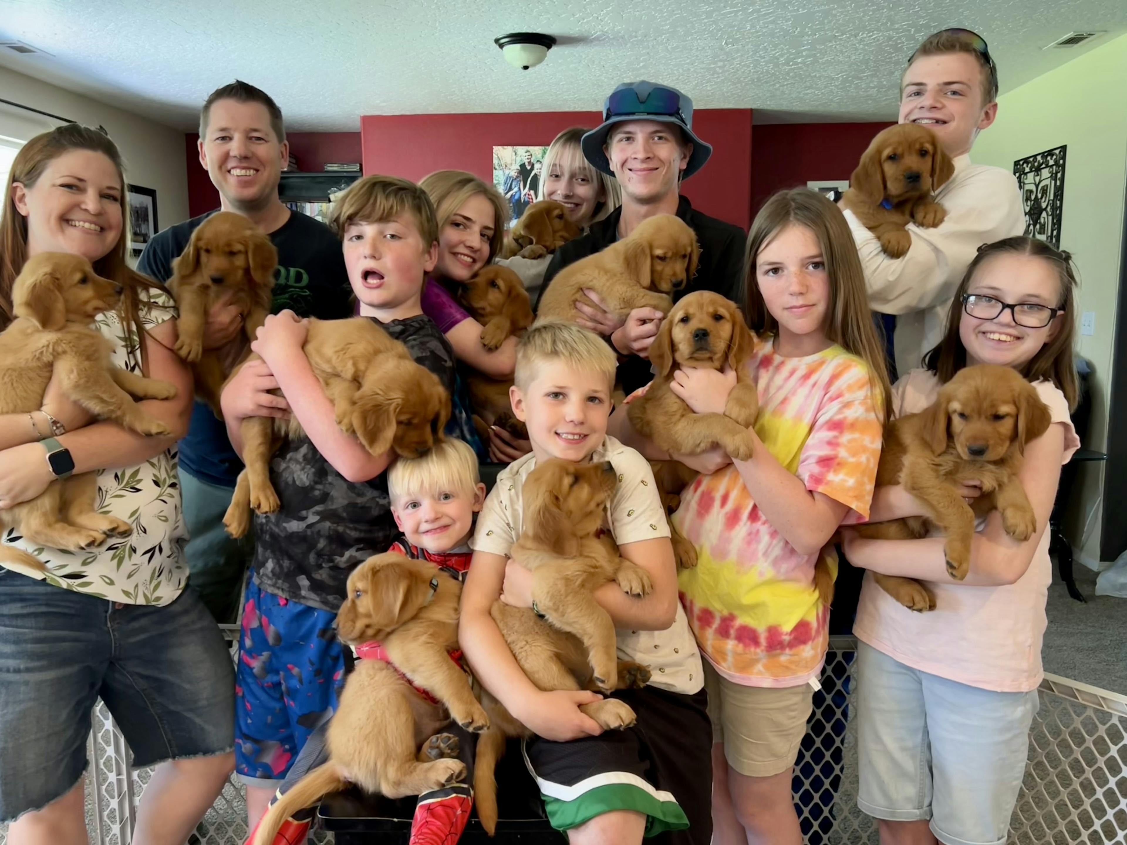 Harvest Lane Golden Retrievers family and pups